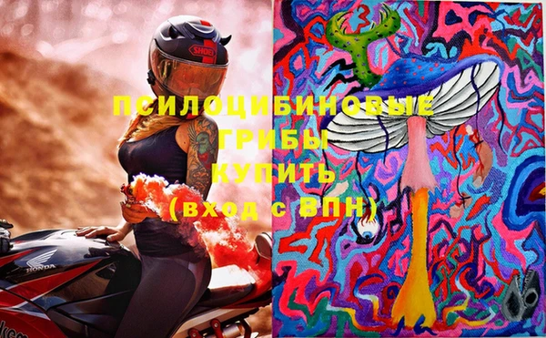 прущая мука Алзамай